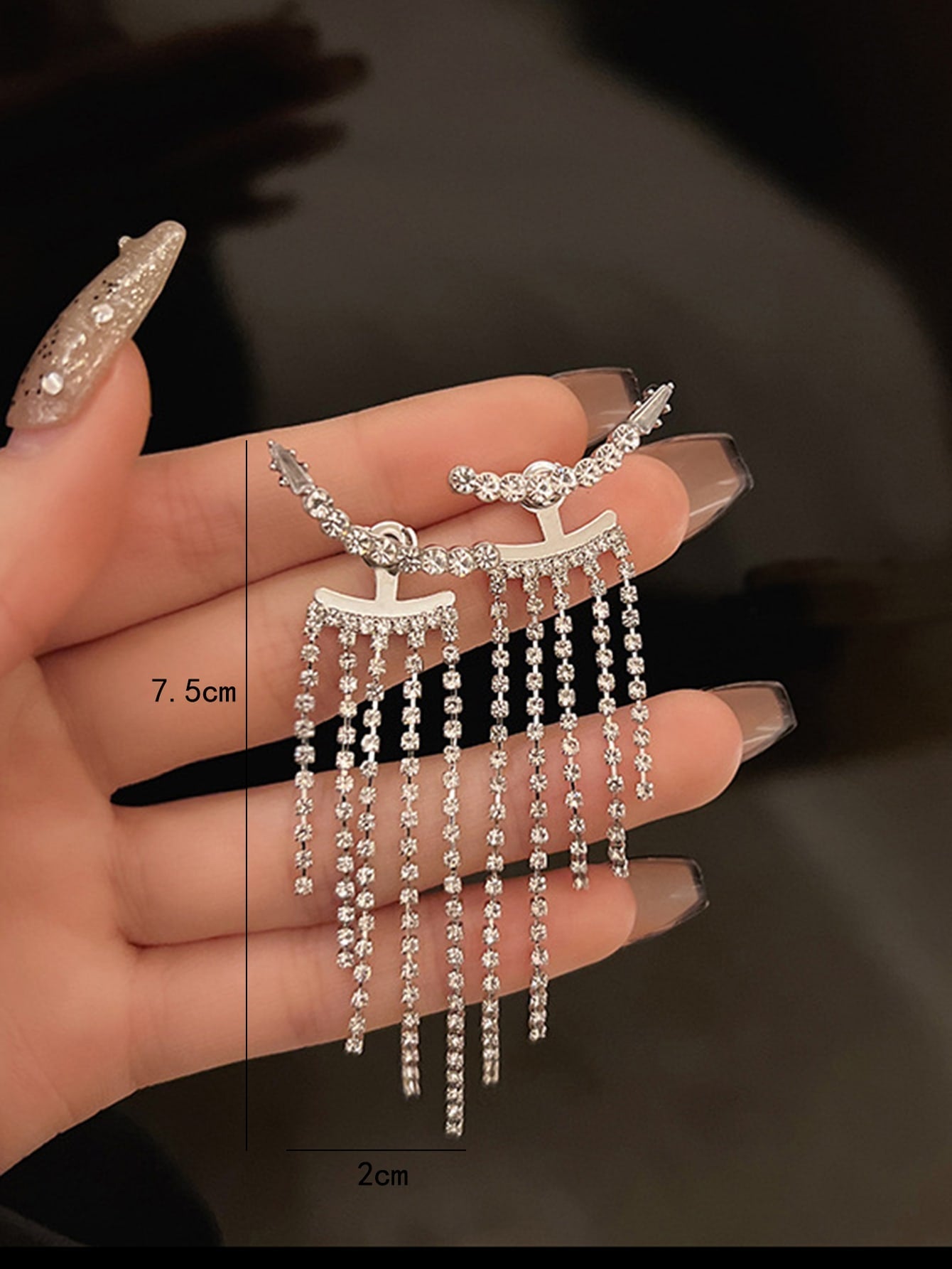 1pair Elaborate Alloy Front & Back Fringe Drop Earrings For Women's Evening Party